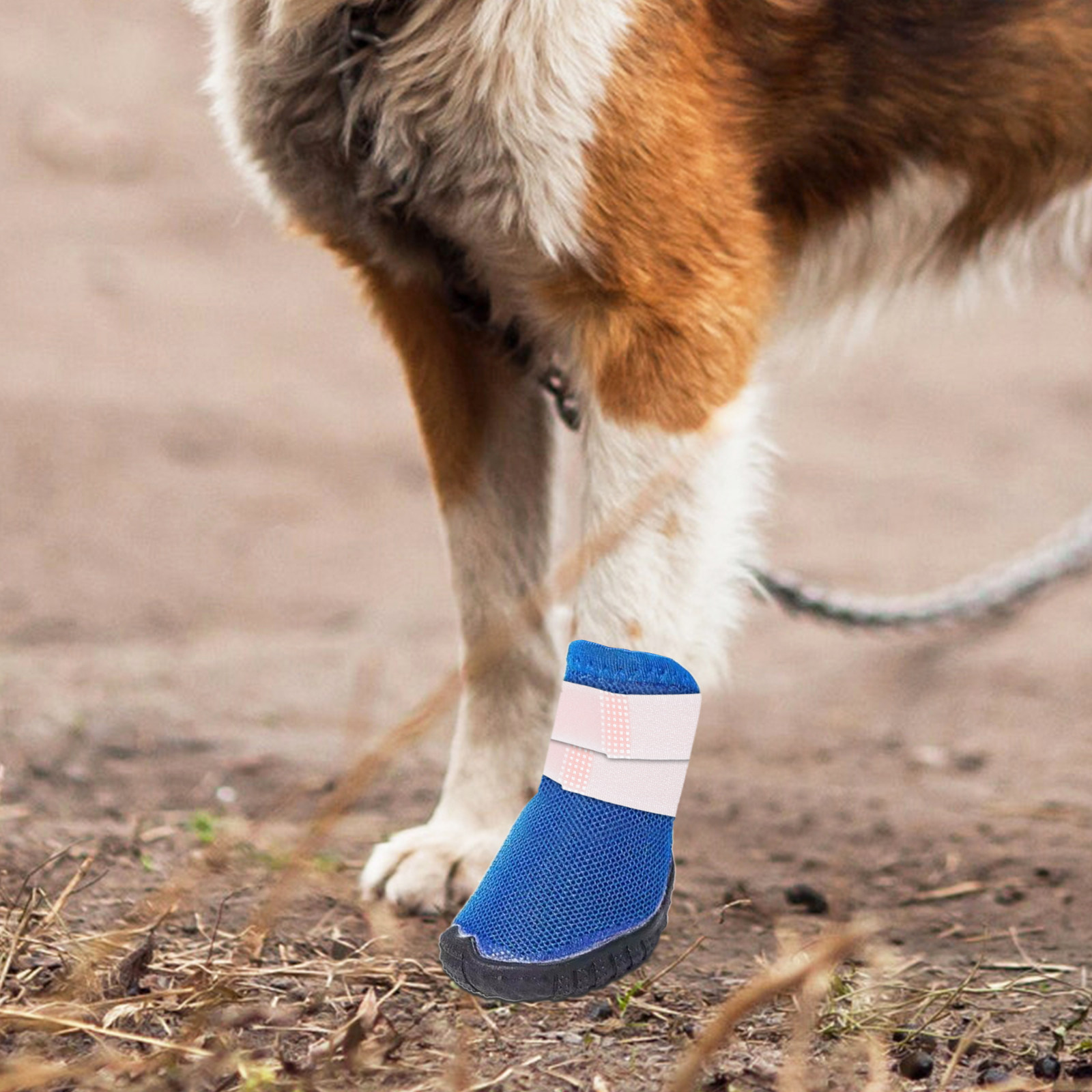Dog Booties Paw Protector - 10 stuks huisdier-pootbeschermers, antislip sokkenbevestigingen, verstelbare