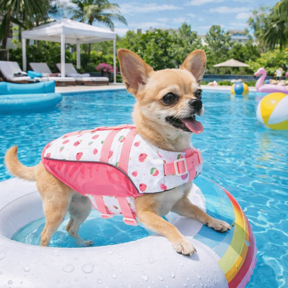 Dog Life Jacket - Verstelbaar hondenreddingsvest Hoge drijfvermogen Waterdichte hondenreddingsvesten