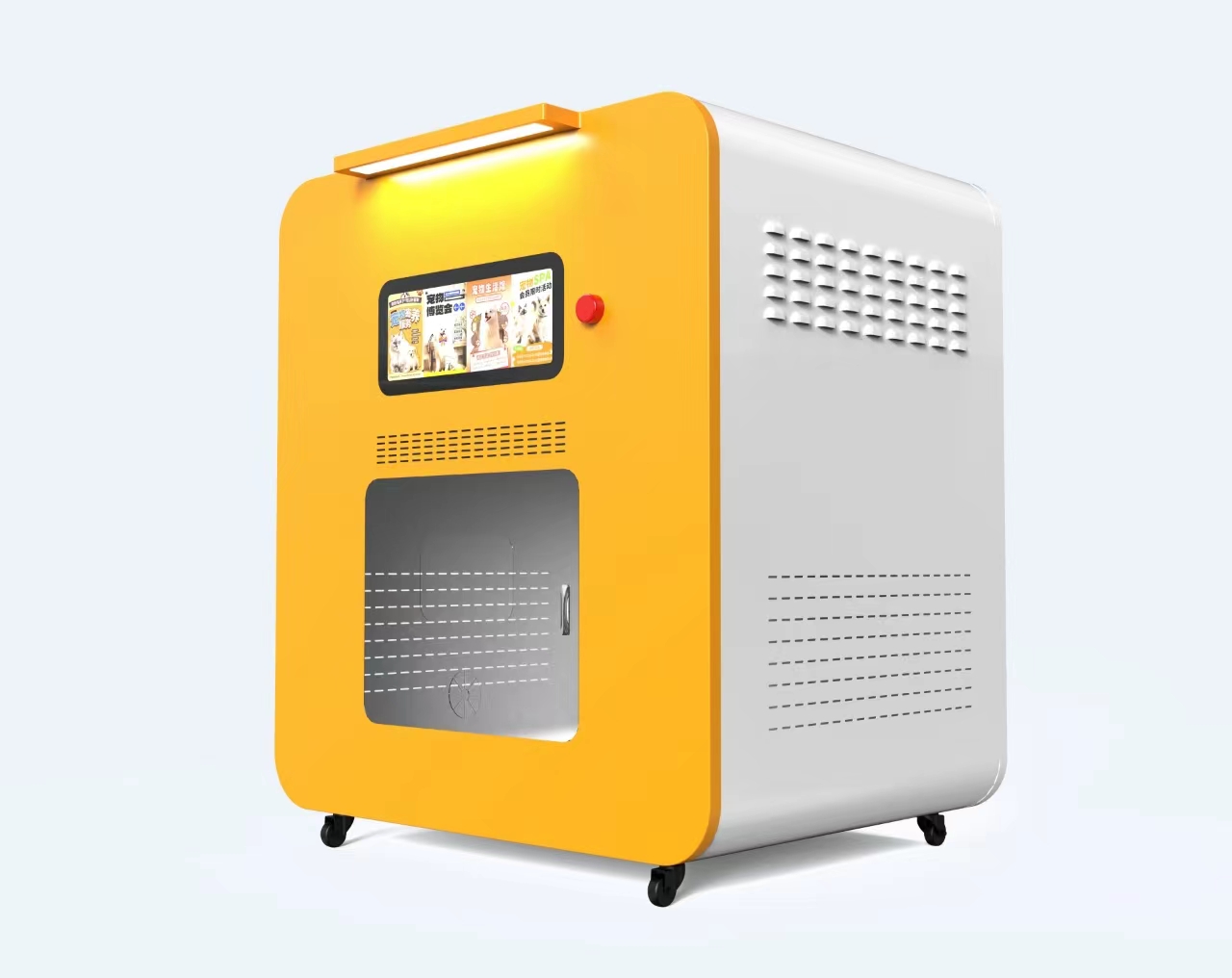 Pet Supplies Wash Station - Huisdierenbenodigdheden Groothandelsprijs Hot Sell RVS Hondenwasstation