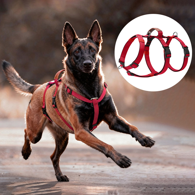 Ontsnappingsbestendig nylon ho - No Pull Dog Harness recensie en prijs
