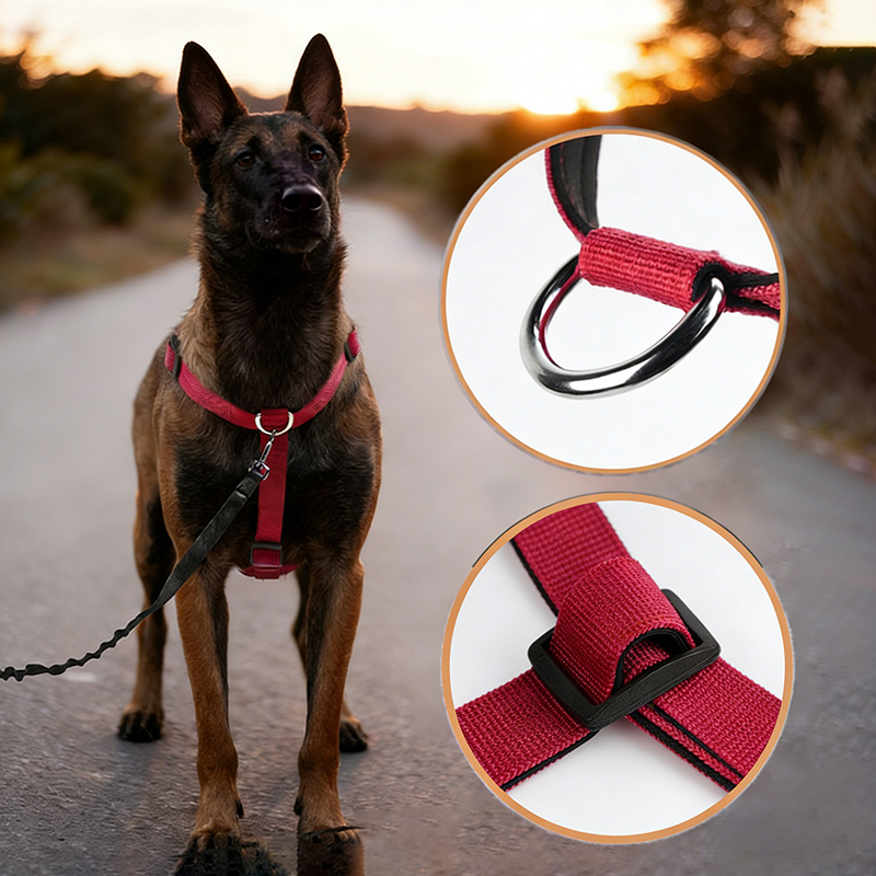 Ontsnappingsbestendig nylon ho - No Pull Dog Harness recensie en prijs