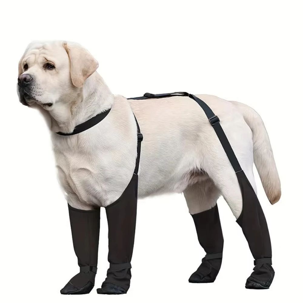 Anti-val waterdichte hondensch - Dog Booties Paw Protector recensie en prijs