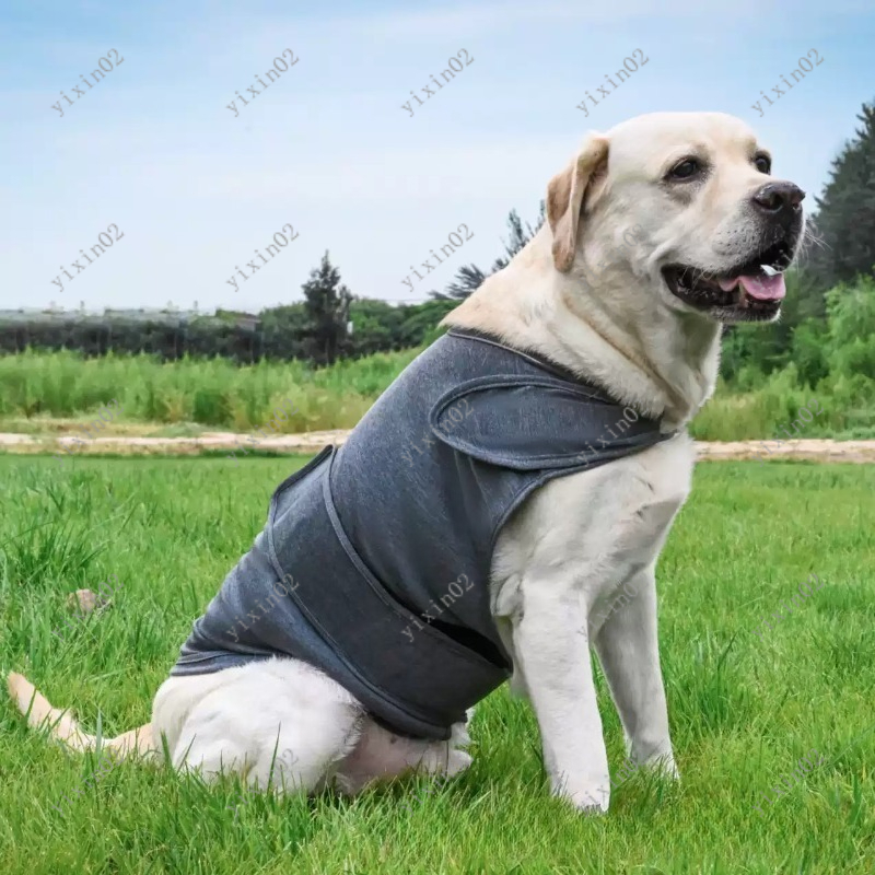 Klassieke ademende anti-stress - Dog Anxiety Vest recensie en prijs