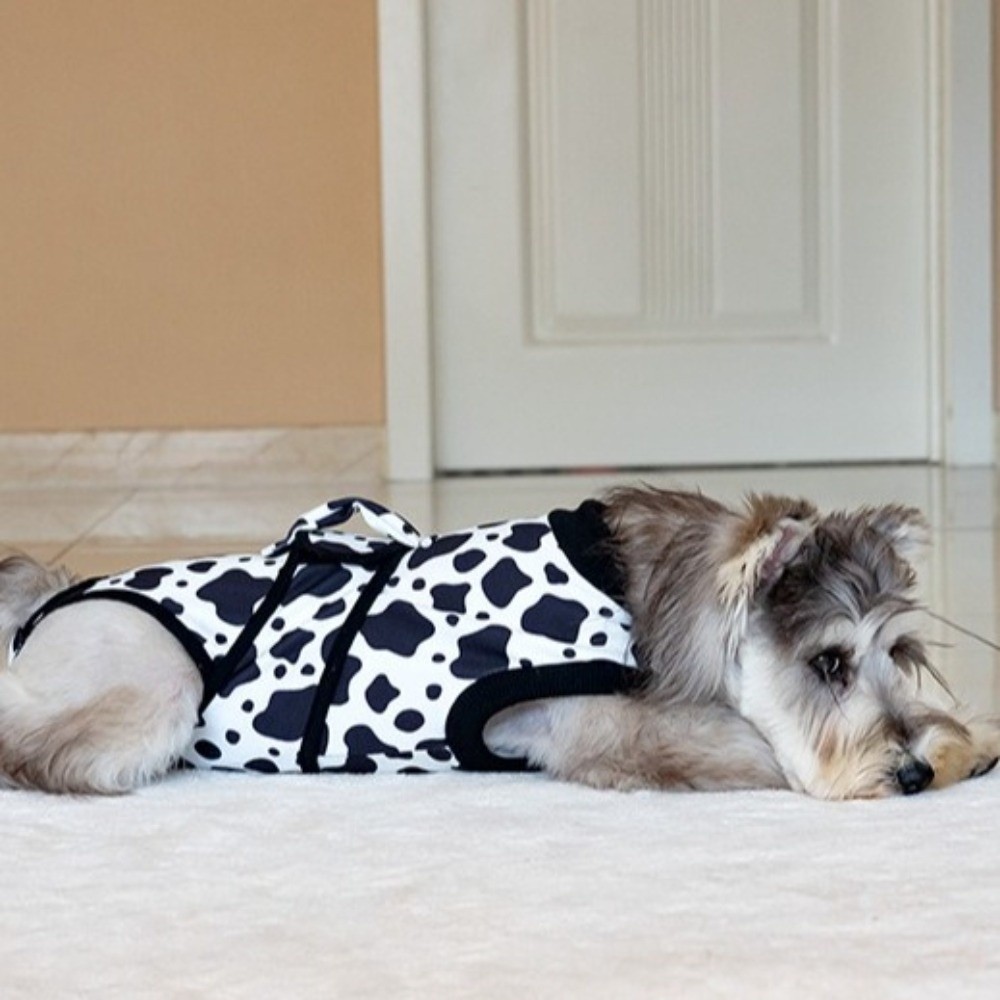 Universeel ademend herstelpak  - Dog Anxiety Vest recensie en prijs