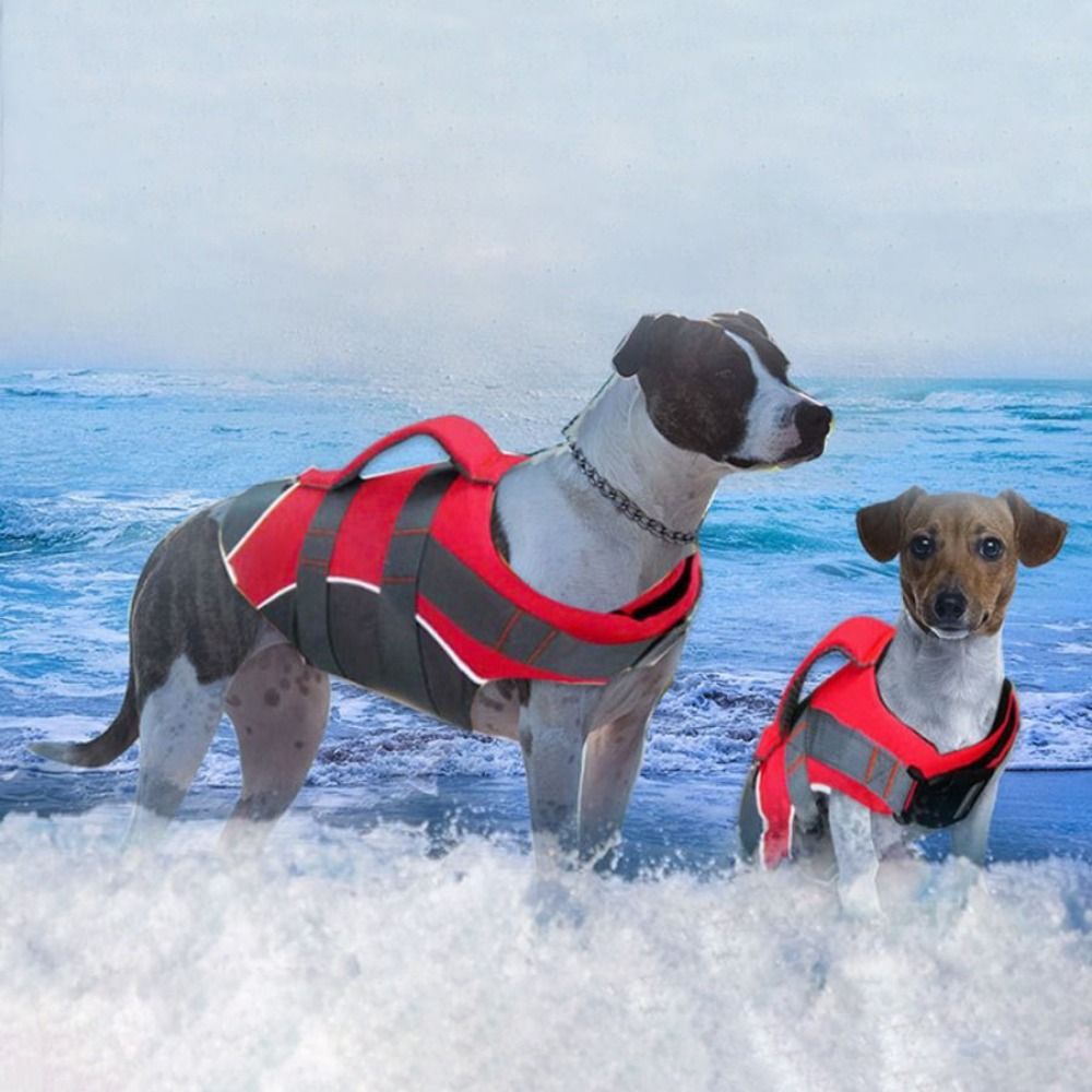Reflecterend hondenreddingsves - Dog Life Jacket recensie en prijs