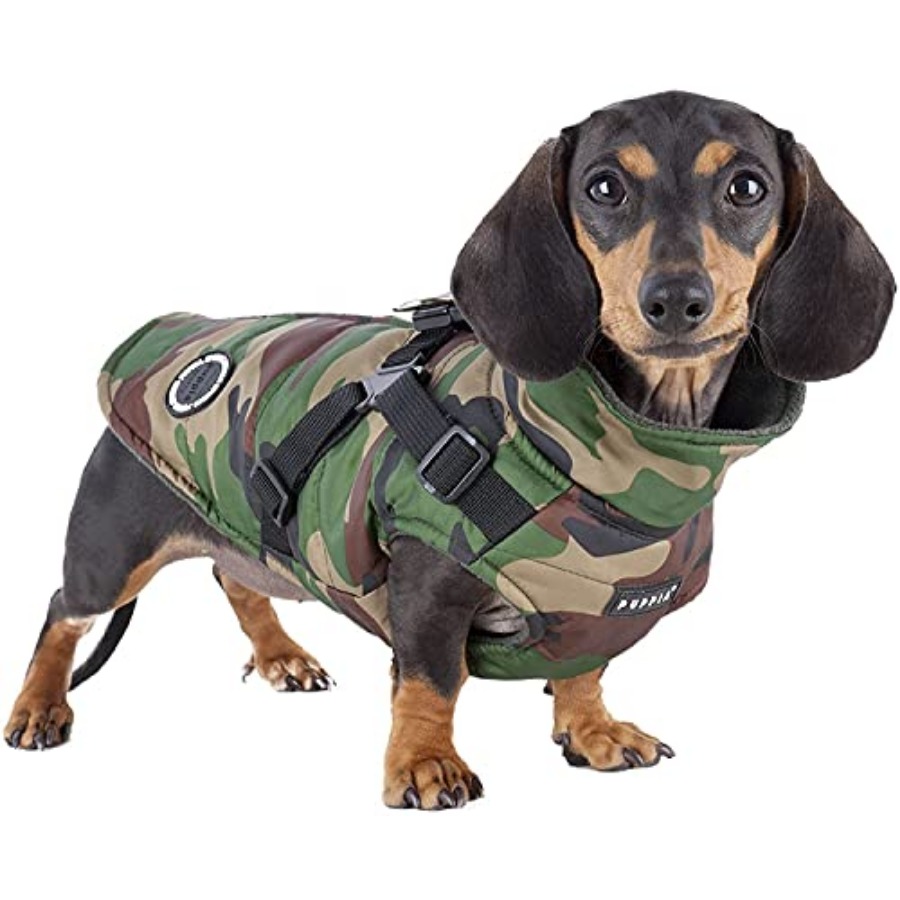 Winterjas voor bergbeklimmers  - No Pull Dog Harness recensie en prijs