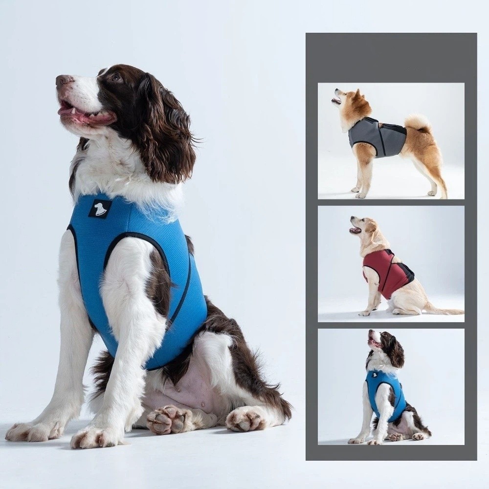 Ademend kalmerend vest voor ho - Dog Anxiety Vest recensie en prijs