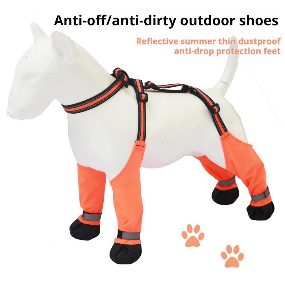Hondenbroekjes met bretels, an - Dog Booties Paw Protector recensie en prijs