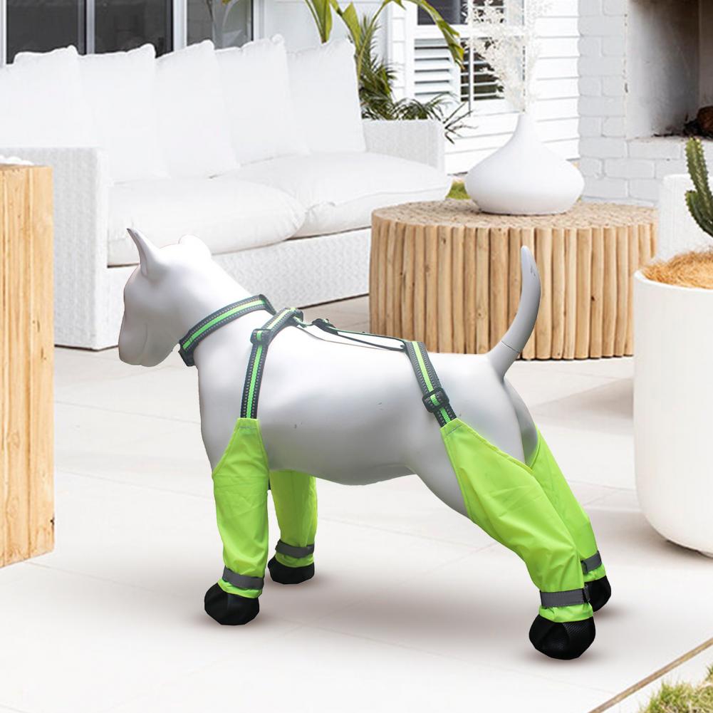Hondenbroekjes met bretels, an - Dog Booties Paw Protector recensie en prijs