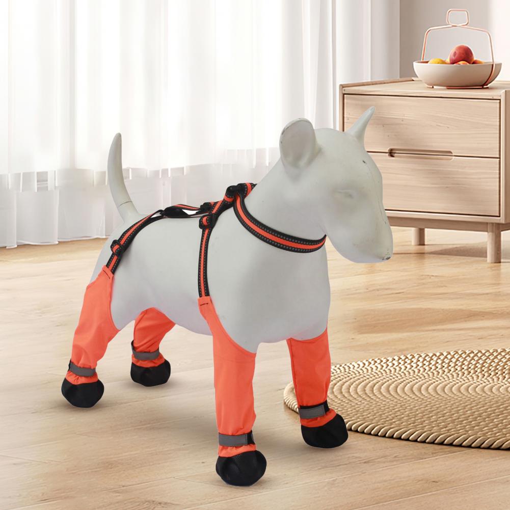 Hondenbroekjes met bretels, an - Dog Booties Paw Protector recensie en prijs