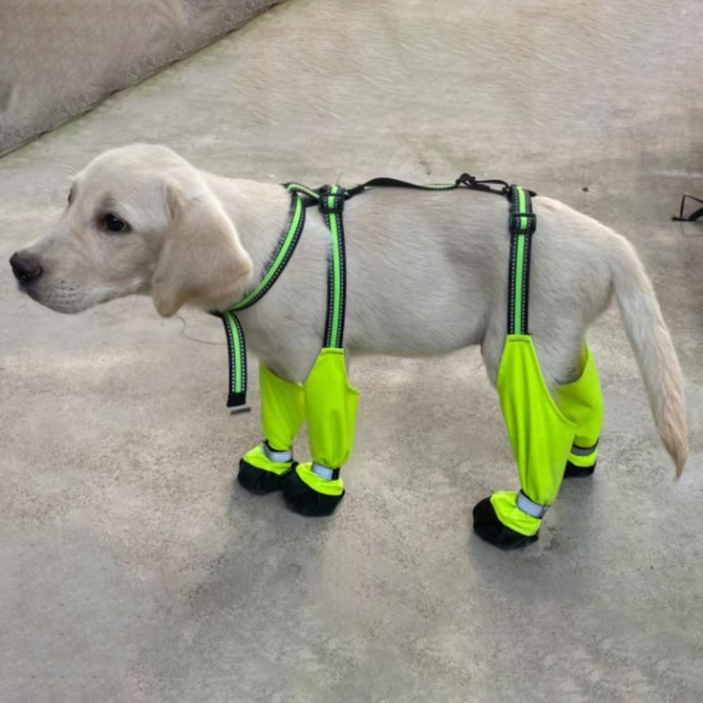 Hondenbroekjes met bretels, an - Dog Booties Paw Protector recensie en prijs