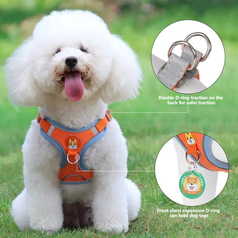 Geen Trek Hondentuig Set met A - No Pull Dog Harness recensie en prijs