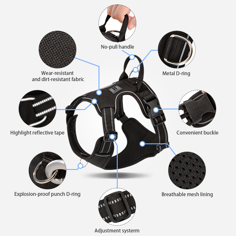 KLEINE COMBINATIE Hondentuig G - No Pull Dog Harness recensie en prijs