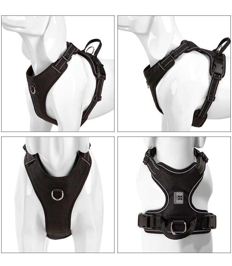 KLEINE COMBINATIE Hondentuig G - No Pull Dog Harness recensie en prijs