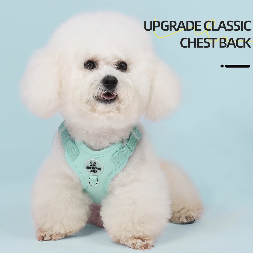 Kleurrijk lichtgewicht hondenh - No Pull Dog Harness recensie en prijs