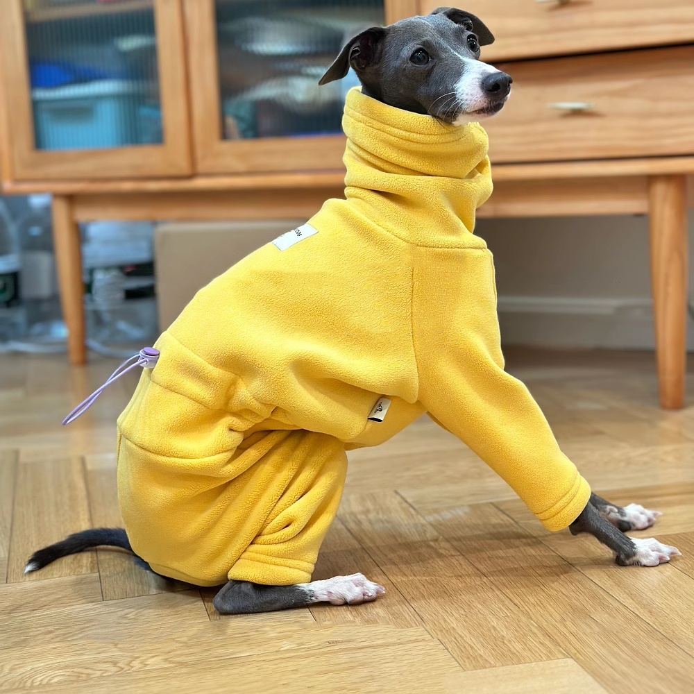 Warme gele fleecetrui voor Ita - Dog Life Jacket recensie en prijs