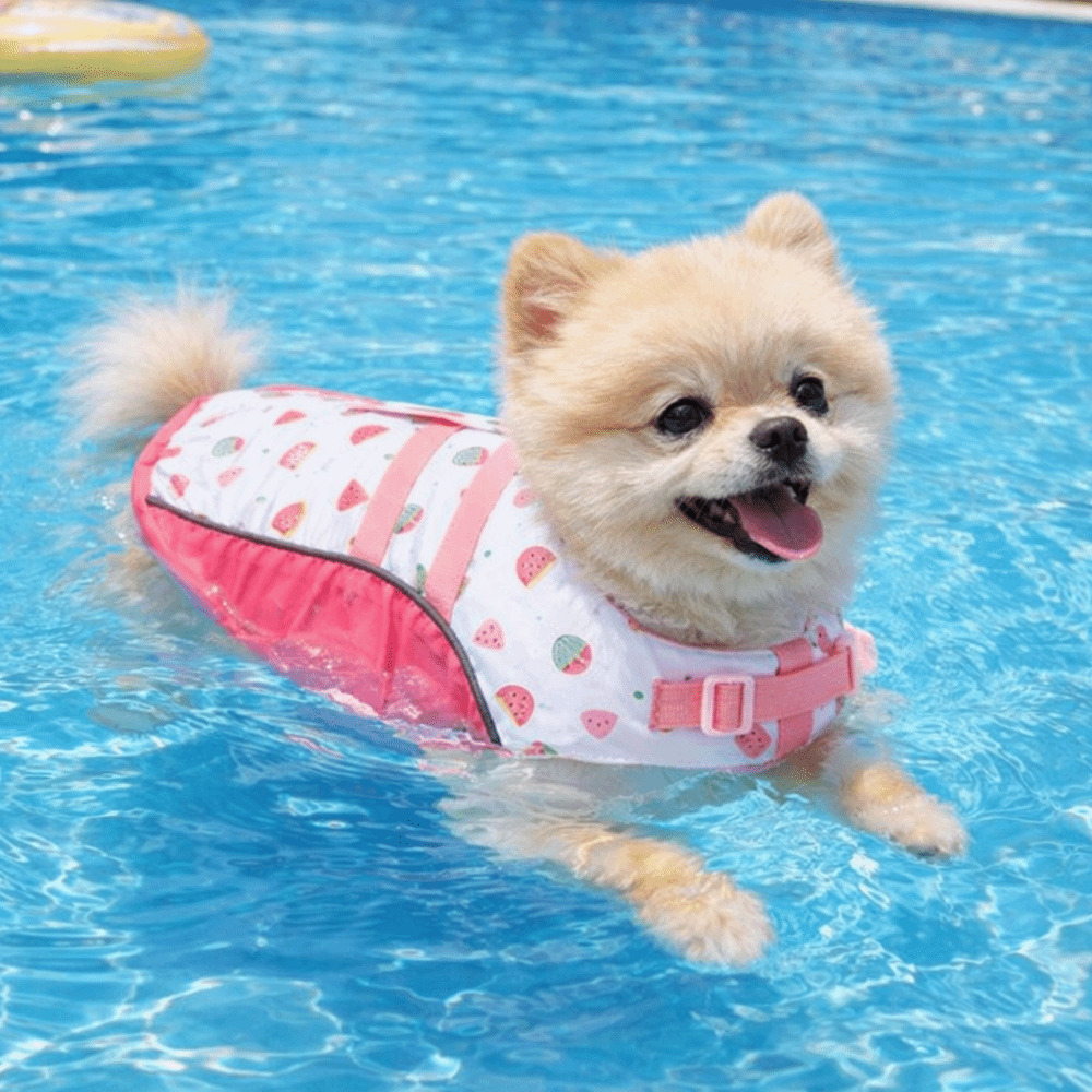 Verstelbaar hondenreddingsvest - Dog Life Jacket recensie en prijs