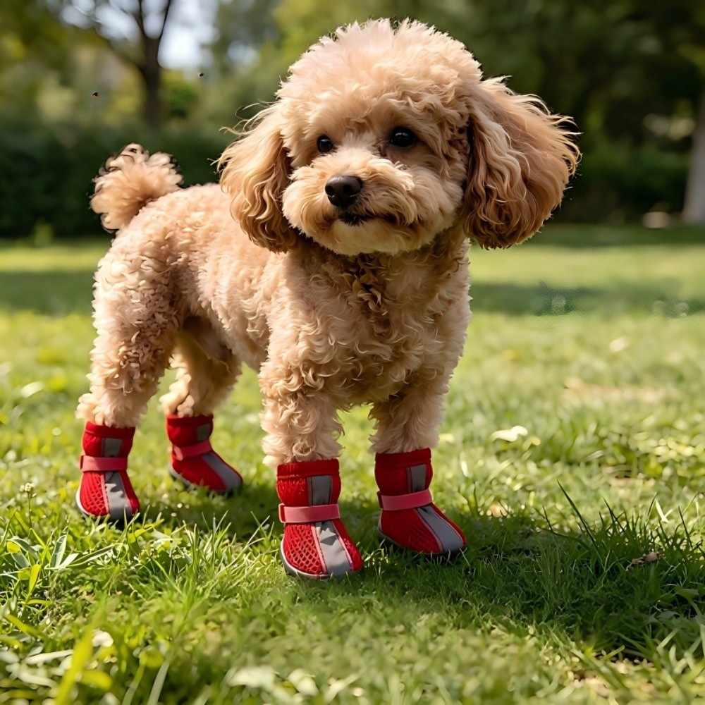 4 STUKS/SET Duurzame Antislip  - Dog Booties Paw Protector recensie en prijs