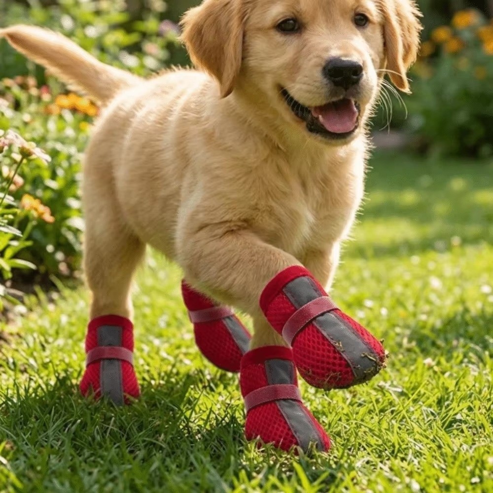 4 STUKS/SET Duurzame Antislip  - Dog Booties Paw Protector recensie en prijs
