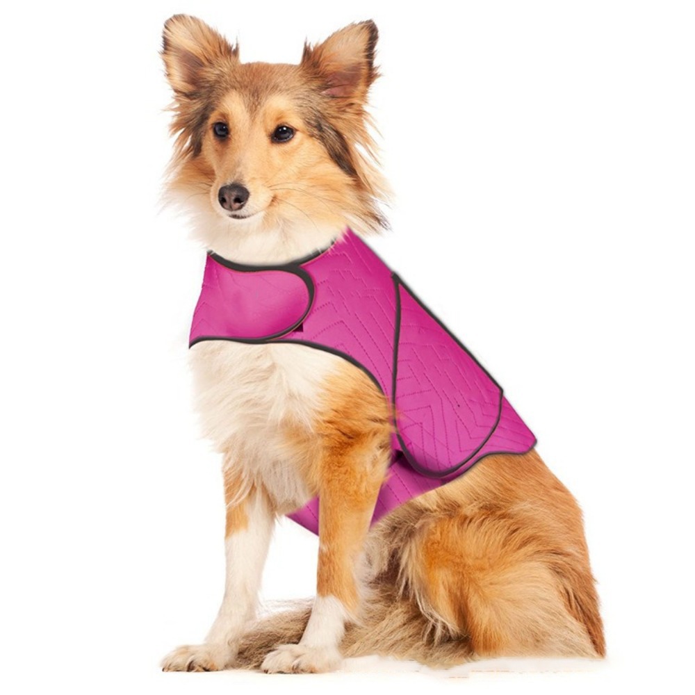 Praktische elastische hondenan - Dog Anxiety Vest recensie en prijs