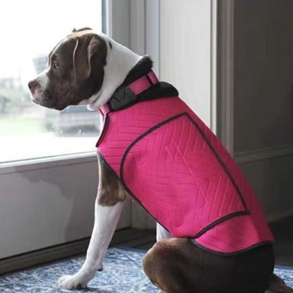 Praktische elastische hondenan - Dog Anxiety Vest recensie en prijs