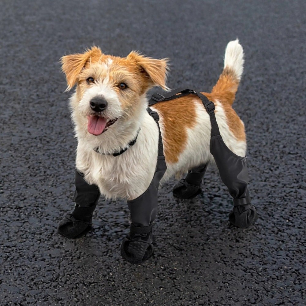Anti-val waterdichte hondensch - Dog Booties Paw Protector recensie en prijs
