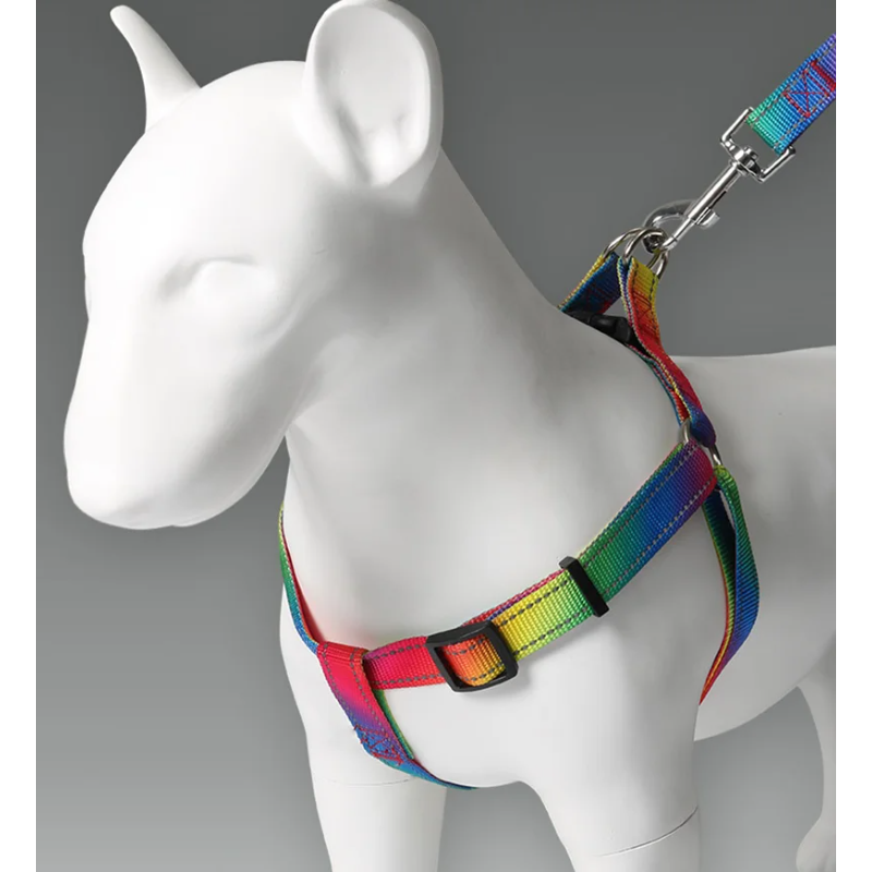 Zhenjia Regenboog Kleurrijke H - No Pull Dog Harness recensie en prijs