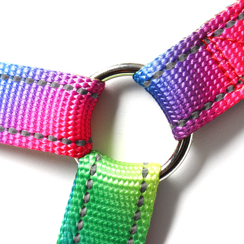 Zhenjia Regenboog Kleurrijke H - No Pull Dog Harness recensie en prijs