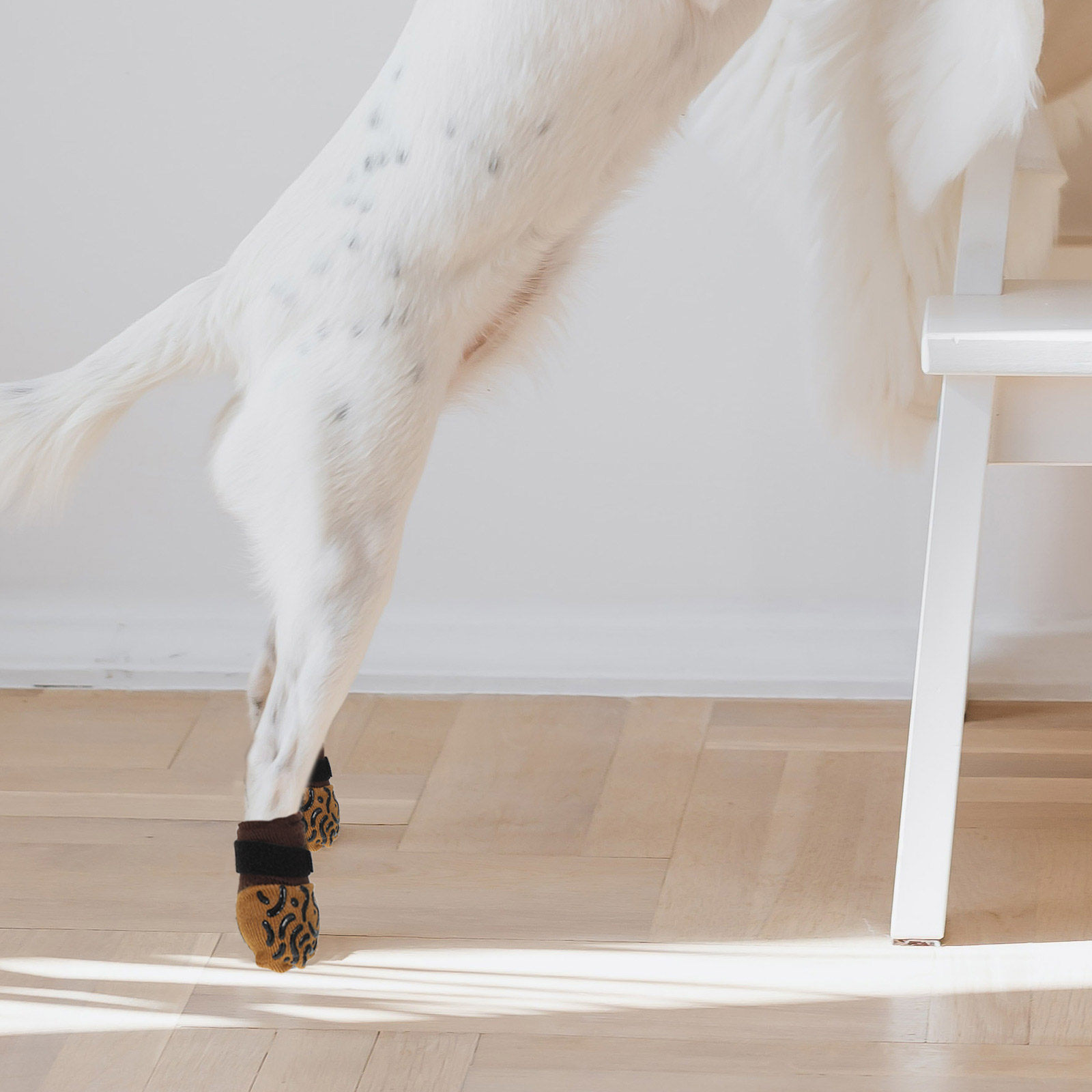 4 stuks hondensokken antislip  - Dog Booties Paw Protector recensie en prijs